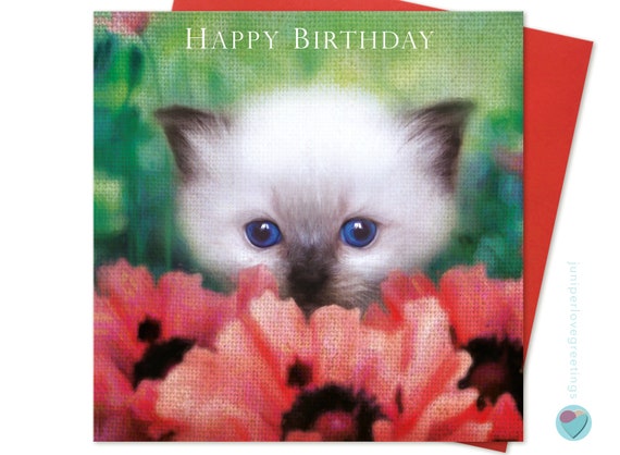 Ragdoll Cat Birthday Cards Niece Sister Daughter Granddaughter 1 2 3 Age