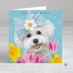 Carte de rétablissement - carte de rétablissement pour chien - carte de visite ou d'un amoureux des chiens bichons frisés - Possibilité d'ajouter un message imprimé personnalisé à l'intérieur