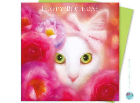 Ragdoll Cat Birthday Cards Niece Sister Daughter Granddaughter 1 2 3 Age