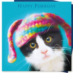 Boys Mens Birthday Card HAPPY PURRDAY for him or her Black and white Cat Kitten to or from the Tuxedo cat lover by Juniperlove Greetings uk