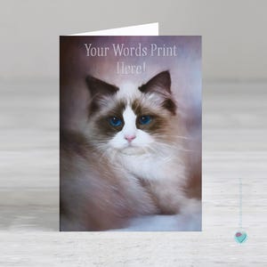 Ragdoll cat card - cat greeting card any occasion - personalised birthday card - cat thank you card - get well soon card - mothers day card