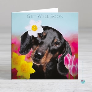 Carte de rétablissement - carte de rétablissement du chien - carte envoyée ou envoyée par un amoureux des chiens teckel - Possibilité d'ajouter un message personnalisé imprimé ou un verset à l'intérieur