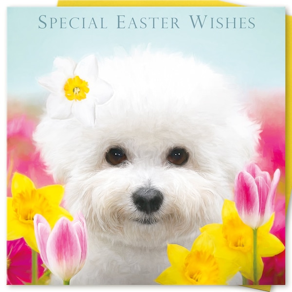 Easter Card SPECIAL EASTER WISHES Friend family Mum Mom Mother Grandmother to or Bichon Frise White Dog Lover by Juniperlove Greetings uk
