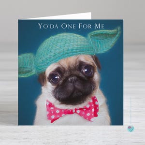 Yo'da one for me carte de chien carlin - carte de voeux d'amour carlin - jolie carte de chiot carlin fauve - anniversaire de papa chien - fête des pères papa chien carlin