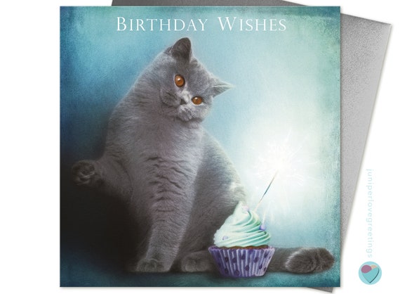 British Shorthair Cat Birthday Card British Blue Kitten Etsy
