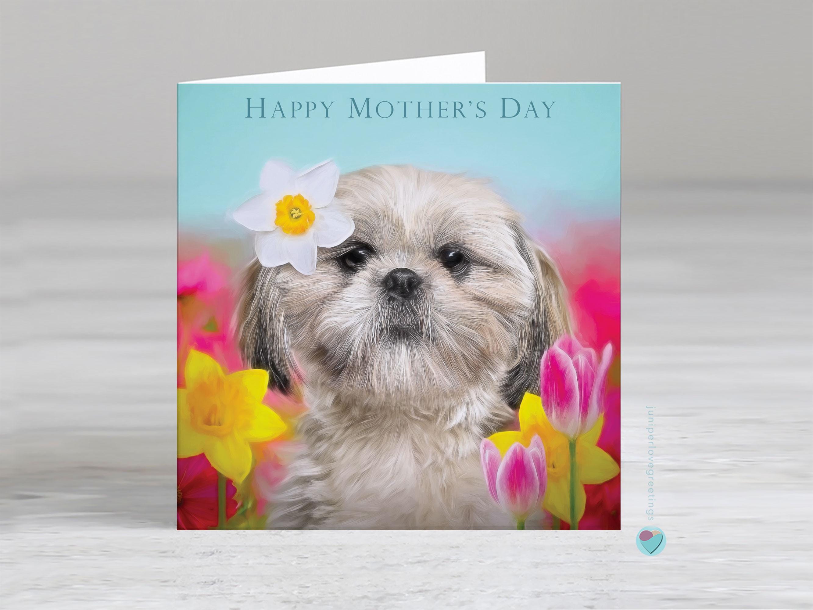 Happy Mothers Day Card: Shih-tzu Dog Lover, Dog Mum, Wife, Friend