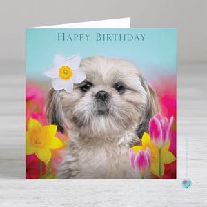 Carte d'anniversaire pour filles femmes garçons hommes ami JOYEUX ANNIVERSAIRE maman papa mari femme soeur nièce fille petite-fille Shih-Tzu amoureux des chiens