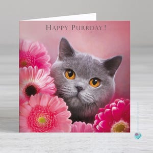 Carte d'anniversaire de chat British shorthair - HAPPY PURRDAY ou option personnalisée tout âge nom relation occasion vers ou de l'amant des chats bleus britanniques