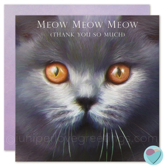 Thank You Card British Blue Cat Lover Shorthair