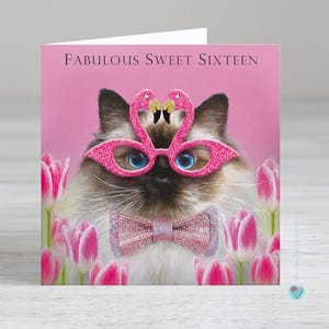 Carte de 16 ans pour une fille - Carte de 16 ans chat - Carte de 16 ans flamant rose - SWEET SIXTEEN - Possibilité d'ajouter votre propre message à l'intérieur