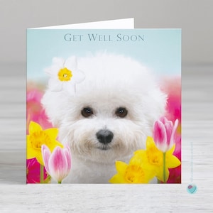 Carte de rétablissement - carte de rétablissement pour un chien - carte envoyée ou envoyée par un amoureux des chiens - Possibilité d'ajouter un message personnalisé imprimé ou un verset à l'intérieur