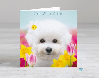 Dog Get Well Card: Bichon Frise with Flowers