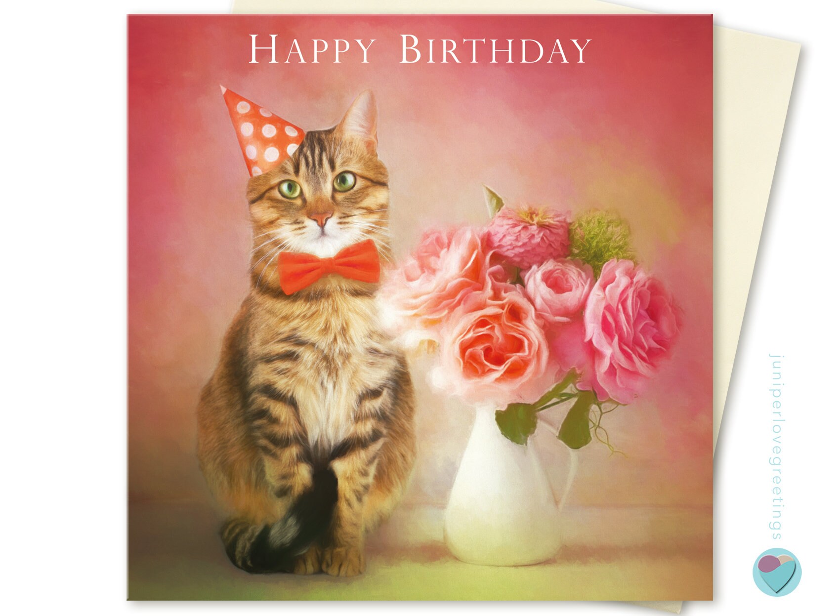 Birthday Card HAPPY BIRTHDAY Tabby Cat Party Hat Vase of | Etsy UK