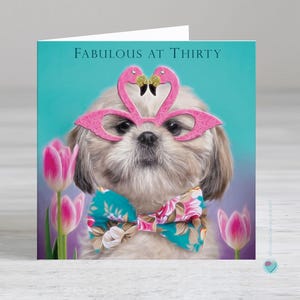 30e 40e 50e 60e 70e 80e 90e anniversaire Carte d'anniversaire Femmes Hommes Maman Papa Épouse Nan Fille Belle-sœur Nièce Ami Petite-fille Shih-Tzu Chien