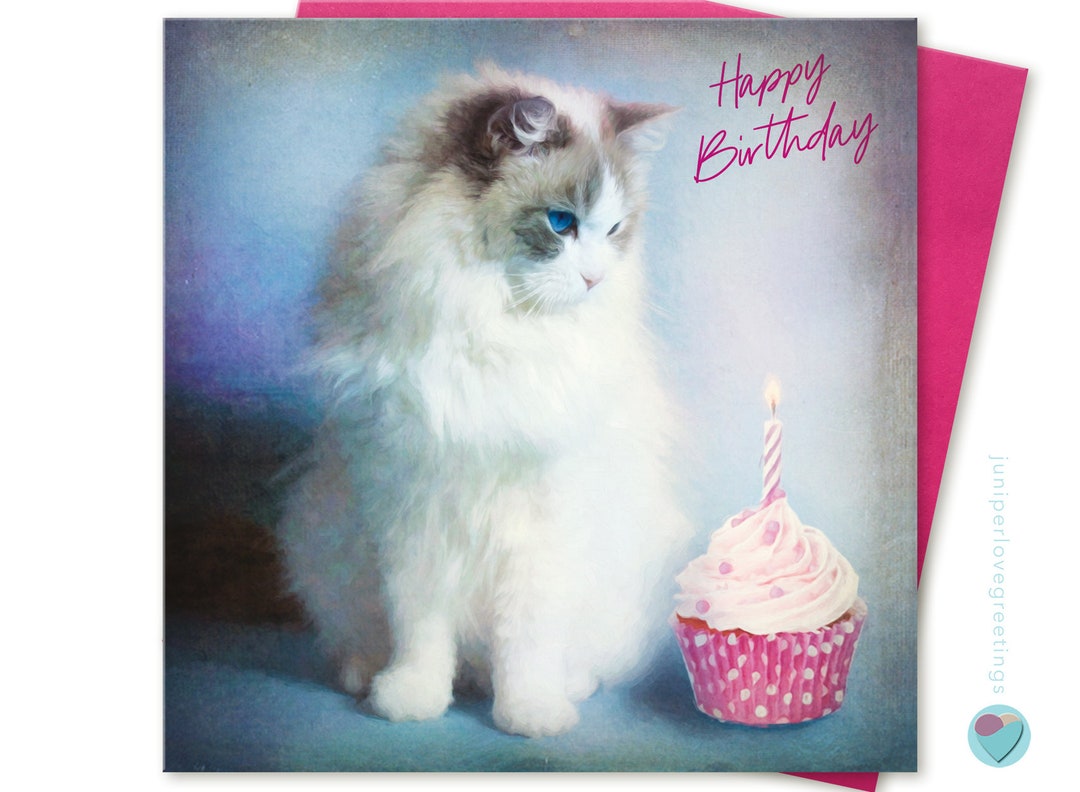 Girls Ladies Women Birthday Card for Her or Him Them Ragdoll - Etsy UK