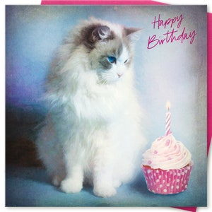 Kitten Birthday Card Girls Daughter Girlfriend Show Pedigree Ragdoll Cat lover