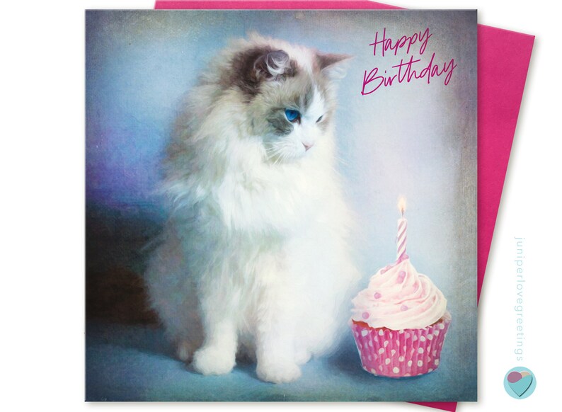 Girls Birthday Card Ragdoll Cat Kitten Pink Cupcake HAPPY | Etsy Girls Birthday Card Ragdoll Cat Kitten Pink Cupcake HAPPY | Etsy