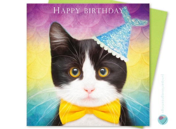 Illus Insert PERSONALISED BLACK WHITE TUXEDO CAT BIRTHDAY ANY OCCASION CARD