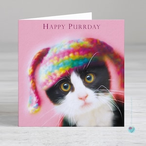 Cat birthday card - tuxedo kitten birthday card - HAPPY PURRDAY - Option to add a printed personalised message inside this card