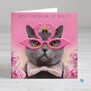 Carte d'anniversaire pour homme ou femme - 60 ans amusante - Spectaculaire à soixante ans - Chat bleu britannique sur le thème des flamants roses - humoristique et pleine d'esprit pour l'amoureux des chats