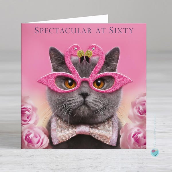 60th Birthday Card: Cat Flamingo lover, Spectacular at Sixty, add message inside