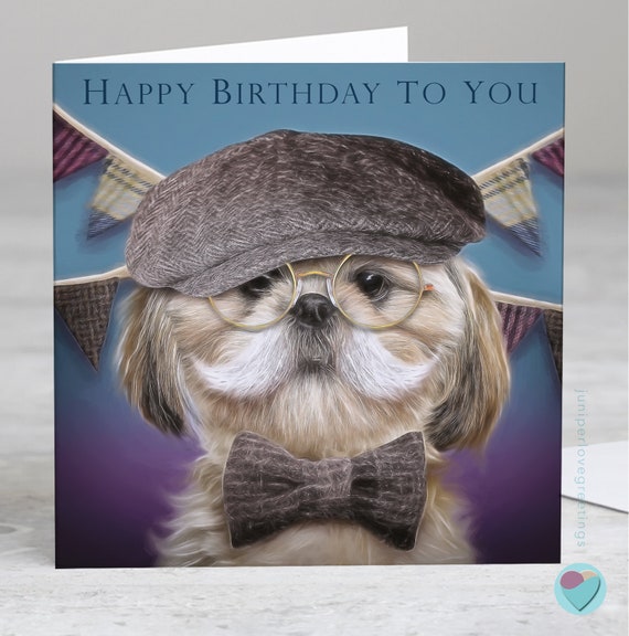 Shih Tzu Dog Breed: Health, Care, And Lifestyle