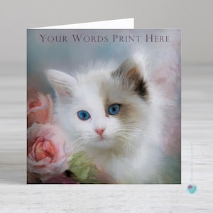 Carte chaton ragdoll - carte de remerciement chat - carte d'anniversaire de chat - carte chat ragdoll - carte de rétablissement - cartes de chat personnalisées Royaume-Uni