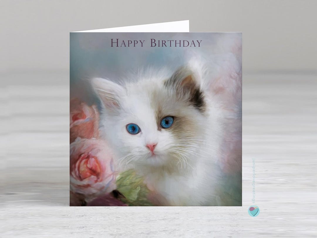 Cat Birthday Card: Ragdoll Kitten, Pedigree Breed - Add a Personalised ...