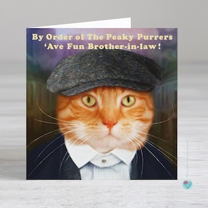 Carte d'anniversaire de beau-frère - carte d'anniversaire pour homme adulte - carte pour amoureux des chats - Possibilité d'ajouter un message imprimé personnalisé à l'intérieur