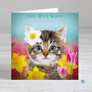 Carte de rétablissement - carte de rétablissement du chat - carte envoyée ou envoyée par un amoureux des chats - Possibilité d'ajouter un message personnalisé imprimé ou un verset à l'intérieur