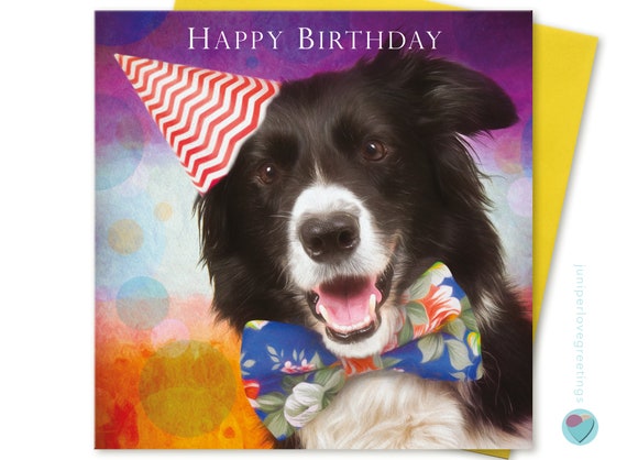 Carte Danniversaire Border Collie Pour Tous Les Chiots De Etsy Carte Danniversaire Border Collie Pour Tous Les Chiots De Etsy