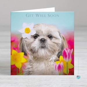 Carte de rétablissement - carte de rétablissement pour un chien - carte envoyée ou envoyée par un amoureux des chiens - Possibilité d'ajouter un message personnalisé imprimé ou un verset à l'intérieur