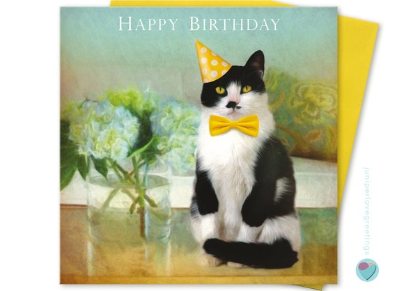Image result for happy birthday tuxedo cat gif