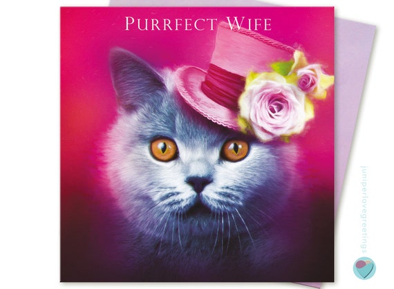 British Shorthair Cat Card Wife Birthday Valentine Anniversary Etsy