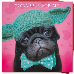 Birthday Card for boys girls Niece Nephew from Star Wars Yoda Fawn Pug dog lover 