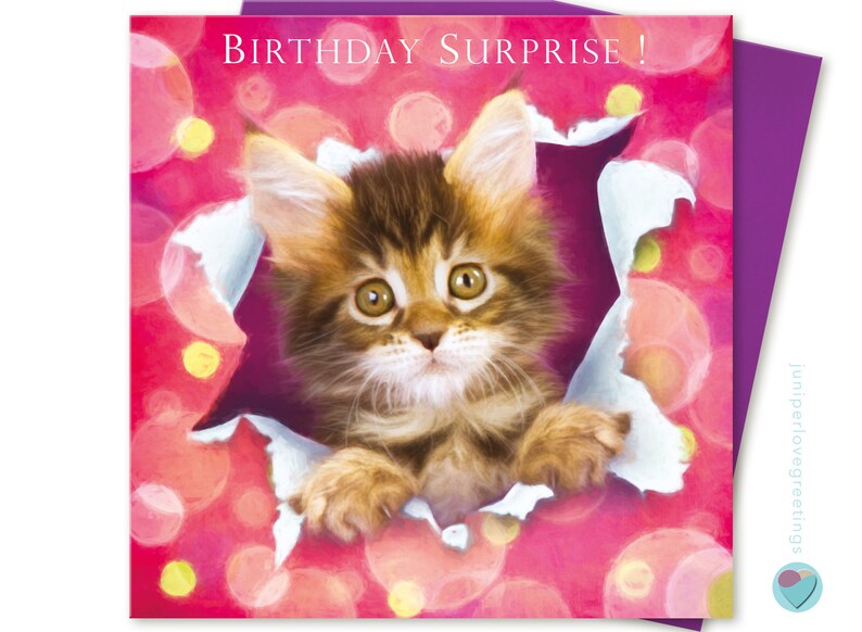 Birthday Card For Girls Or Boys Maine Coon Kitten Cat Birthday Surprise Gift Wrap Design Tabby Lynx Cute To Or From Maine Coon Cat Lover