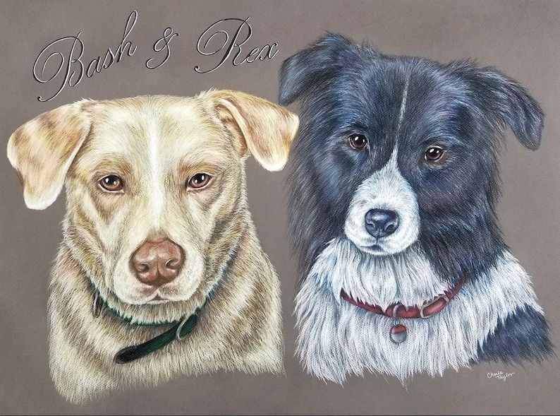 Custom Colored Pencil Pet Drawing Custom Pet Drawing Dog Etsy