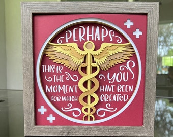 Doctor Shadow Box / Doctors Day Gift Caduceus Gift / Doctor Caduceus Gift / Layered Shadow Box