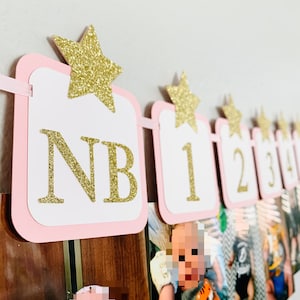 Pink Gold Star Monthly Photo Banner / First Birthday Pictures / Photo Banner / First Birthday Girl / Twinkle Twinkle First Birthday