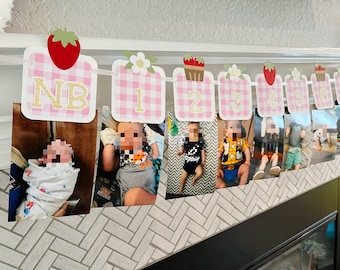 Banner de fotos del primer cumpleaños de fresa / Primer cumpleaños de Berry / Banner de fotos mensual / Clips de fotos Imágenes del primer cumpleaños / Banner de fotos