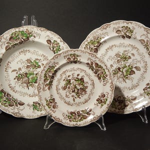 Può includere: Tre piatti in ceramica bianca con un motivo floreale marrone, verde e bianco. I piatti sono esposti su supporti trasparenti. I piatti hanno un bordo smerlato.