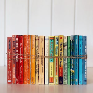 Pacchetto di libri vintage con copertina flessibile arcobaleno, libreria istantanea