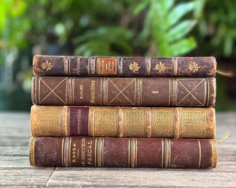 Antique Brown & Gold Ornate French Leather Book Bundle
