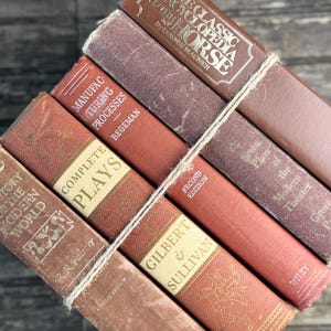 Könnte beinhalten: Eine Sammlung alter Bücher, die mit Bindfaden zusammengebunden sind. Die Bücher haben rote, braune und beige Einbände mit goldener Schrift. Zu den Titeln gehören "The Classic Encyclopedia of the Horse" und "Complete Plays."