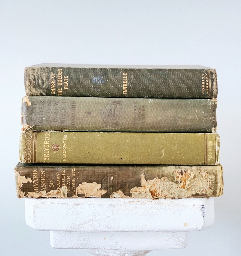 Decorative Books Faded Green And Neutral Books For Display Etsy