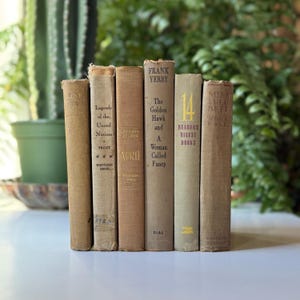 Vintage Soft Cozy Neutral Brown Gray Tan Decorative Books for Shelf Styling