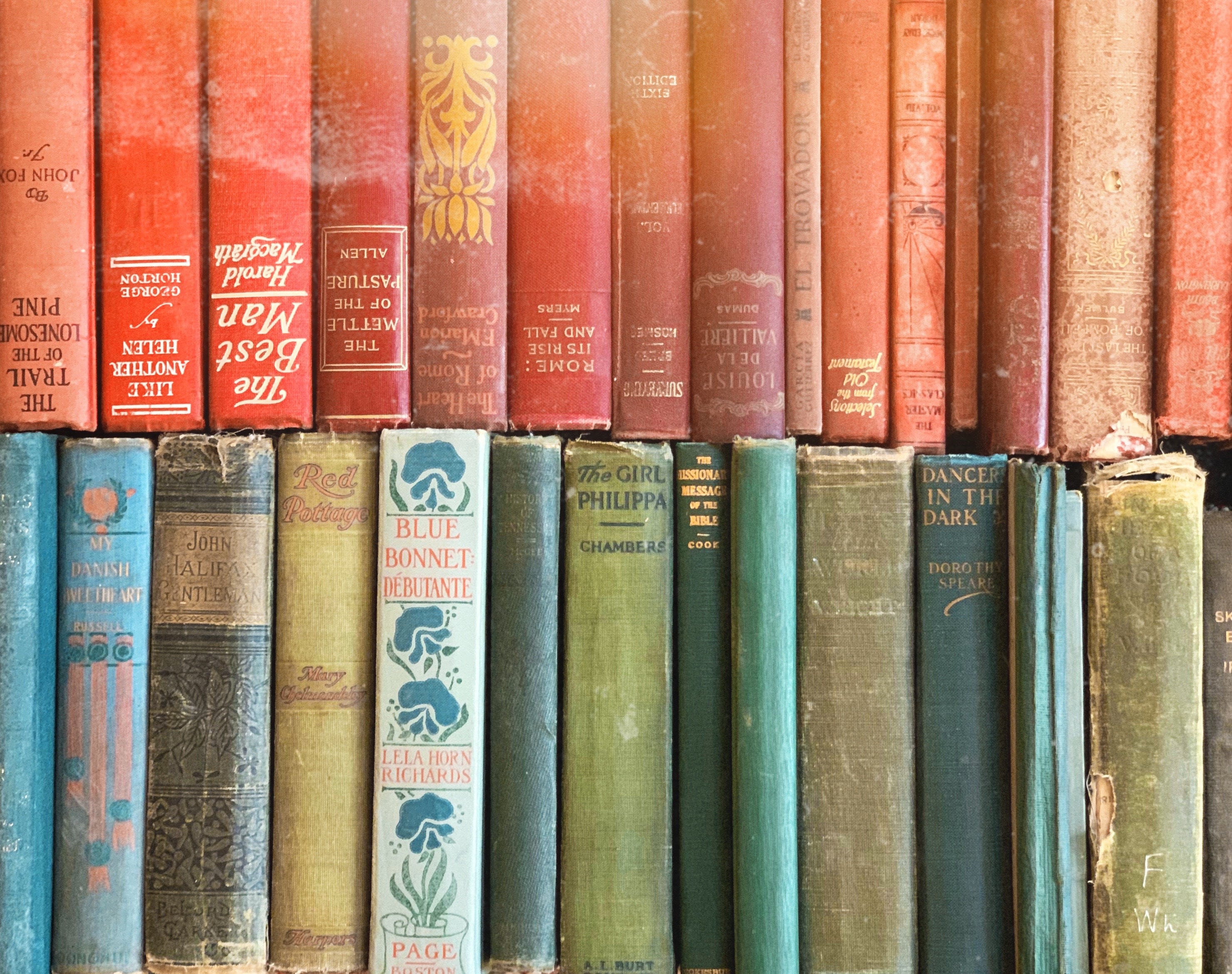 Set of 5 Vintage Decorative Books By Color for Bookshelf Etsy