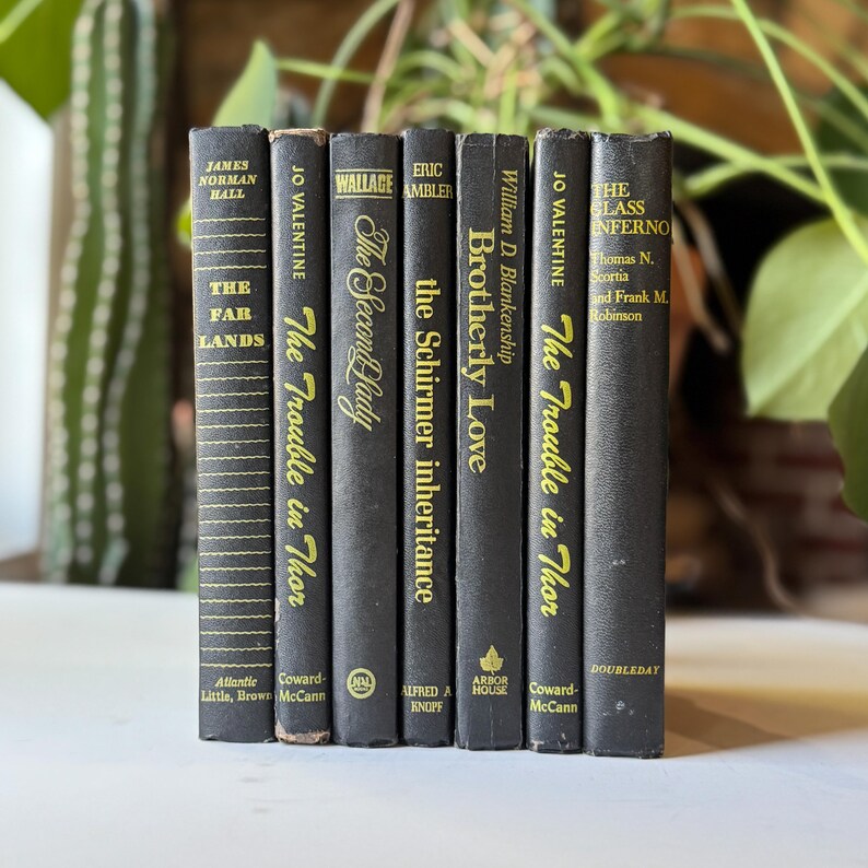 May include: A collection of vintage books with black covers and gold lettering. Titles include "The Far Lands," "The Second Lady," and "Brotherly Love." The books are arranged vertically, showcasing their spines.