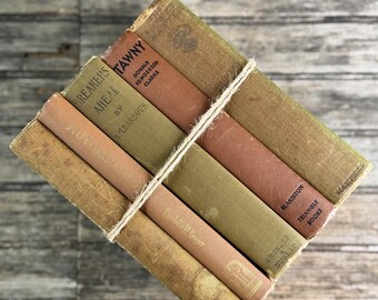 Vintage Neutral Olive Green and Brown Book Bundle for Shelf Styling