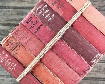 Antique Red Novels and Domestic Fiction for Shelf Styling